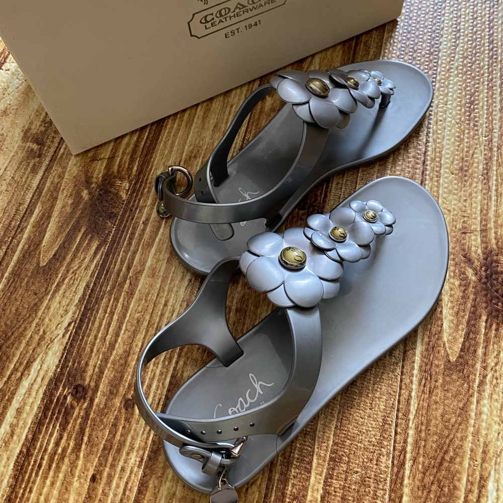 Coach sandals.  USED but looks new!